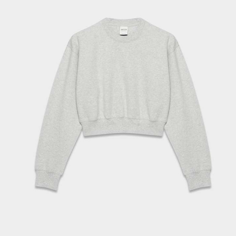 TNA Heather Grey Cropped Crewneck Sweatshirt